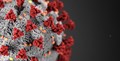 Coronavirus molecular image