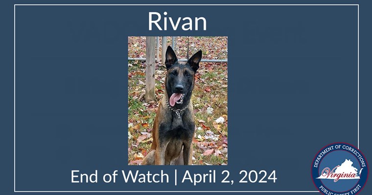 Rivan: End of Watch - April 2, 2024